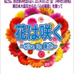 【寄贈品】かわさき舞祭第11弾 学校教材 東日本大震災復興支援曲 「花は咲く～Rise Up 東北～」 CD＆DVDセット